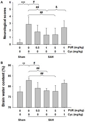 Neuroprotective Effects of a Smoothened Receptor Agonist against Early Brain Injury after Experimental Subarachnoid Hemorrhage in Rats